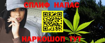спиды Донской