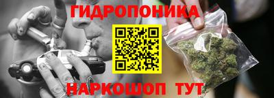 стаф Донецк