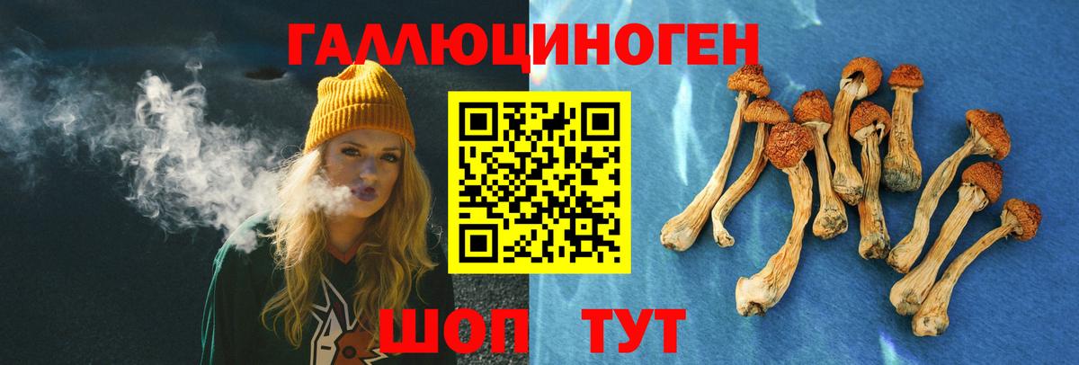 Казань  Псилоцибиновые грибы Magic Shrooms  Вход с VPN 